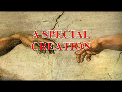 Special Creation, Part 6 - Billy Crone