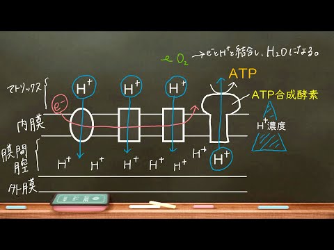 SGH09: 水生環境に対する危険性