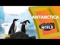 Antarctica Destination World