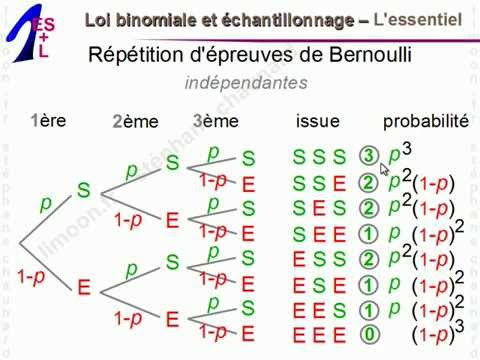 Maths 1èreES et 1èreL - Loi binomiale et échantillonnage - Mathématiques Première ES L 1ES 1L