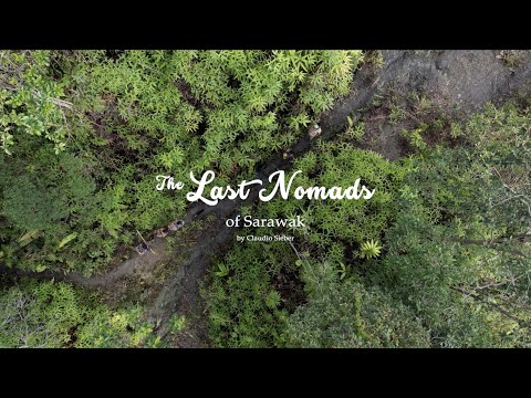 The Last Nomads of Sarawak