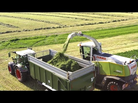 DSV seeds for efficient forage production