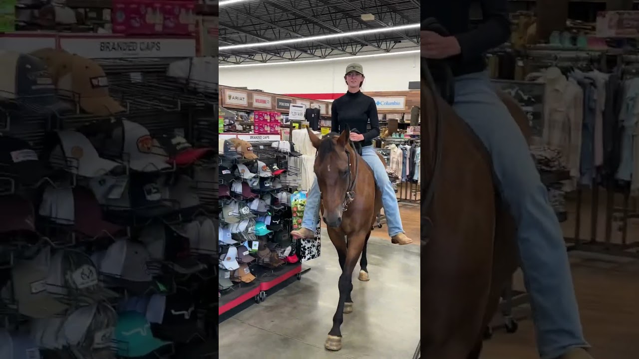 Shopping with Marlowe #equestrian #quarterhorse #horse