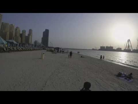 Camel on Dubai Jumeirah Beach Residence