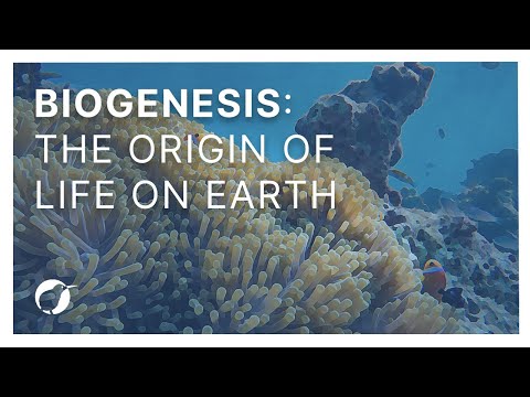 Biogenesis: The Origin Of Life On Earth