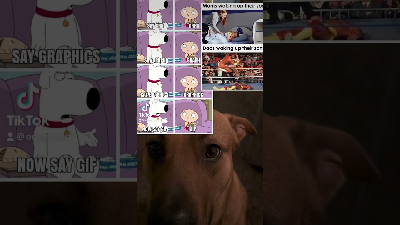 Bro it’s “gif” right🥴 Meme of the day #shorts #viral #trending #memeoftheday #tiktok #youtubeshorts