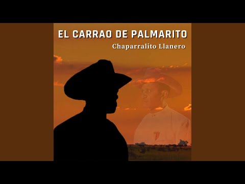 Chaparralito Llanero