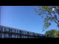Filmpje van bewoners Moltzerhof: ze worden gek van meeuwen