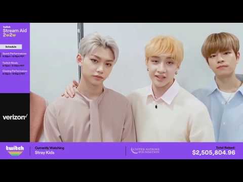 Stray Kids Twitch Stream Aid Segment