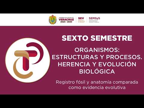 Registro fósil y anatomía comparada como evidencia evolutiva