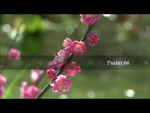 PSALM 66