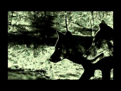 Barker & Baumecker - Buttcracker