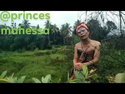 Kulaghan kerbai betunggal ngupat