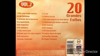 Lalo-el-gallo-elizalde El Callejero