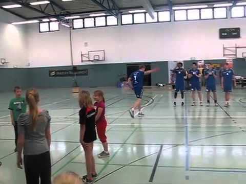 WSG Oberreichenbach -- L.E. Volleys