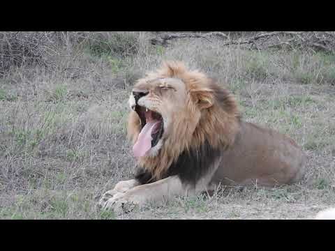 Fast Forward pt 1 to Djuma Dec 2019