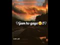 Kho Gaya Gum Ho Gaya WhatsApp Status 30 Second