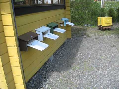 Fullt upp i bikuporna