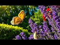 The Garden Of Humanity We Arrived In A Garden We Didn T Plant