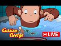 LIVE Curious George Full Episodes George Floods The Building More