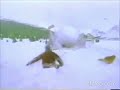 Nickelodeon Movies Snow Day Variant Reversed