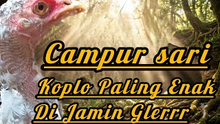 Download lagu KOPLO PALING ENAK || CAMPUR SARI PALING ENAK DI DENGAR  BIKIN HIDUP NYAMAN mp3