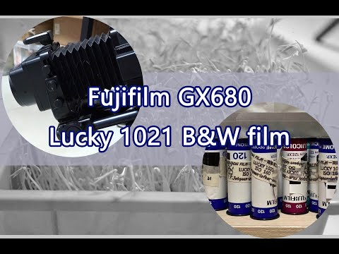 Fujifilm GX680 - on Lucky 1021 aerial film, shooting my bean sprouts