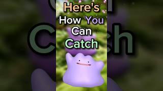 How To Catch Ditto In Pokémon Go For June 2023!