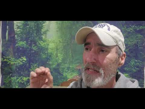 Have you noticed any of these changes?