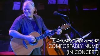 David Gilmour - Comfortably Numb (In Concert)