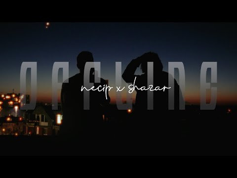 NECIP x SHAZAR - OFFLINE (Offizielles Musikvideo)
