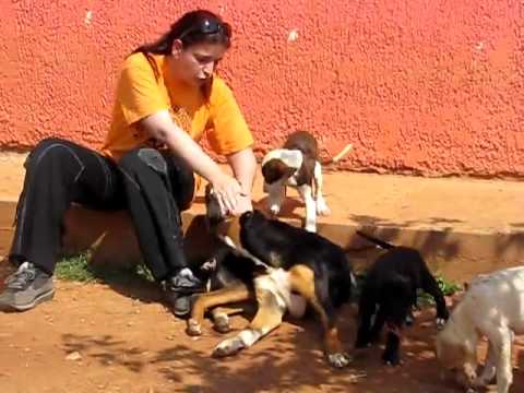 Della, Fotini & the river puppies Part 2