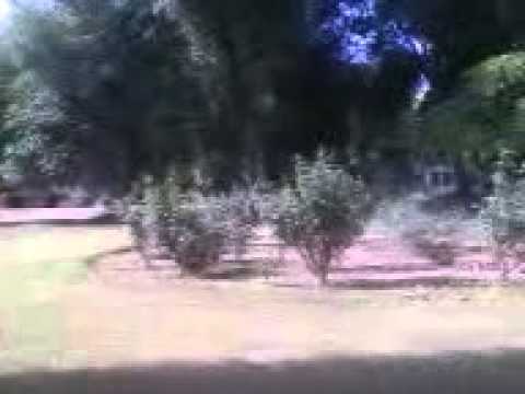 Kay One feat. DMX - Ride Till I Die (Official Video)