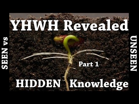 HIDDEN KNOWLEDGE - YHWH Revealed - Seen vs UNSEEN Otiot studies including 2 Cor 4:18 and more...