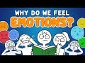 Why Do We Feel Emotions