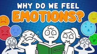 Why do we feel emotions?