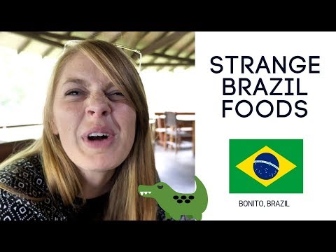 Taste like chicken?! 🐊Brazil Food and Bonito Ecotourism