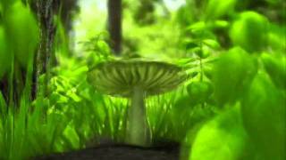 Shades Apart - Stranger By The Day