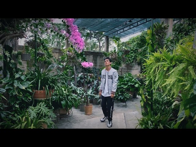 Leinex - Cuando te veo