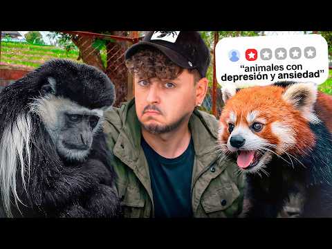 Why This Zoo Is a Disaster for Animals