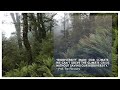 Keynote: Prof. Tim Flannery with Rob Morrison: Native forests and the cost of carbon - An opport...
