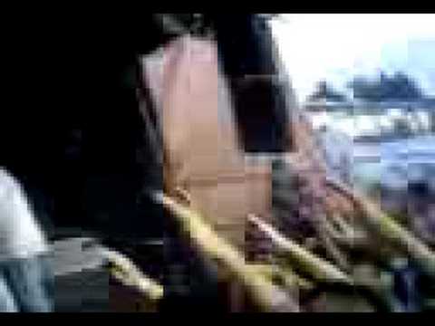 Richter Shox Ex-Tassy