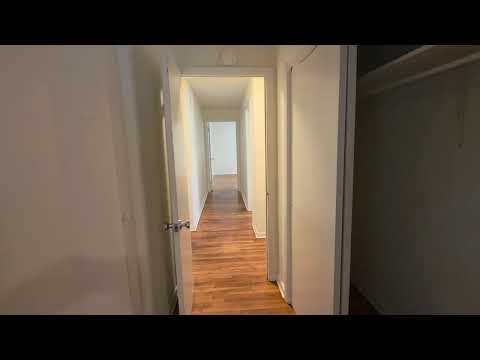 Bull St - Video 2 of 2