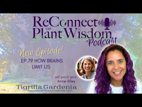 Ep.79 How Brains Limit Us with Anne Riley | ReConnect with Plant Wisdom podcast
