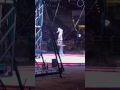 Circus Part 2 2017