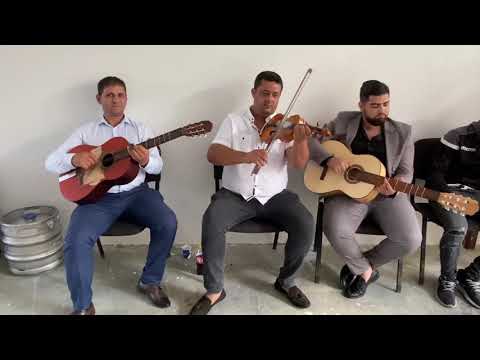 Bocotanu Ceterașul - Dant frumos