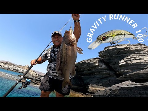 4 Massive Grouper strikes on the new Gravity Runner 100. Feat: SGS6 rod "Savage Angler 60-150gr