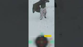 Download lagu Russian Soldiers Surrender to Ukrainian Drones #warinukraine mp3