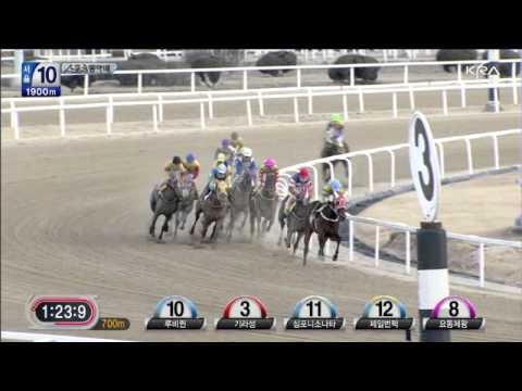 2012 Sports Dong-A Cup - Ruby Queen