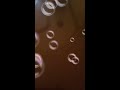 Normani Motivation Official Video